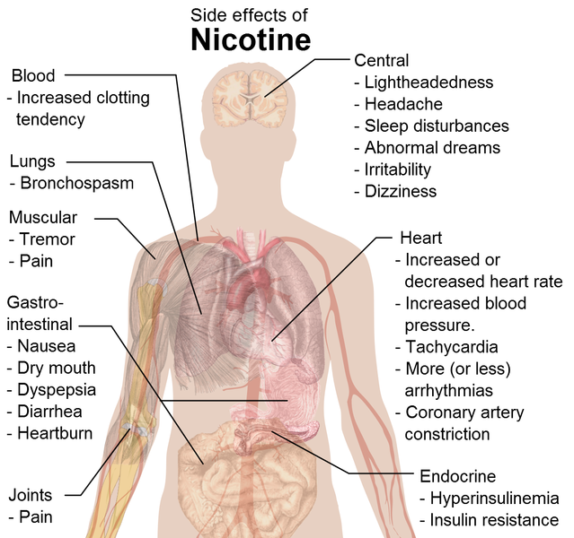 smoking effects on body. Picture 2 – Side-effects of