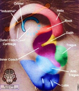 Cartilage Piercing Bump: Causes, Symptoms and Treatments ...