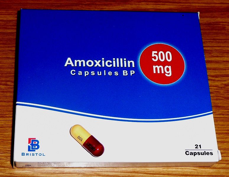 amoxicillin  side effects