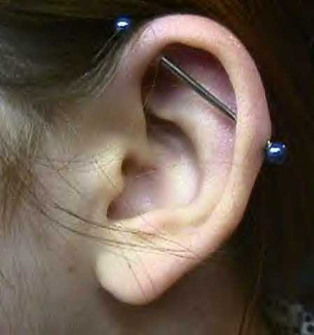 Check out these Industrial Scaffold Piercing photos to get an idea