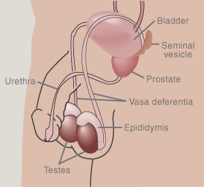 How To Have A Dry Orgasm 83