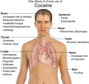 cocaine effects