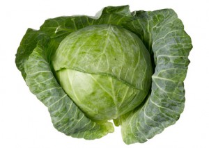 Cabbage Picture