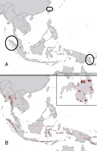 history of ebola virus