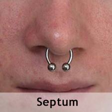 Septum Piercing - Pain, Jewelry, Pictures, Dangers and Aftercare