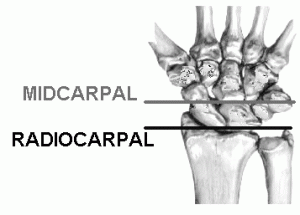Images of Radiocarpal Joint
