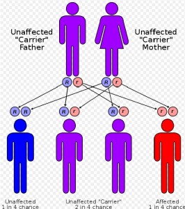 Canavan Disease Picture