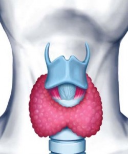 Picture of Postpartum thyroiditis