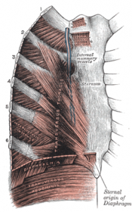 Image of Costochondritis