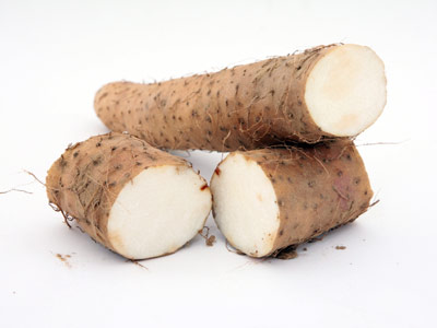 Picture of Wild Yam Root