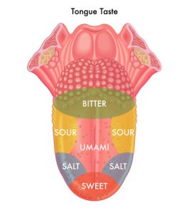 tongue taste image