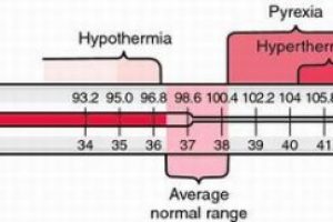 thermometer-range